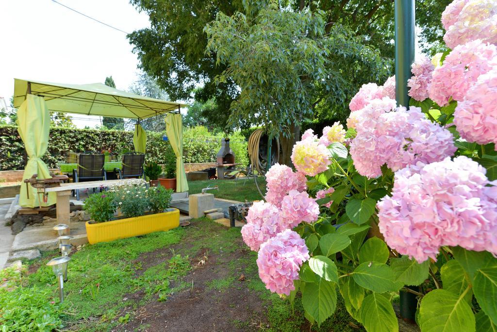 Apartment Mirana With Garden And Free Parking Zadar Værelse billede